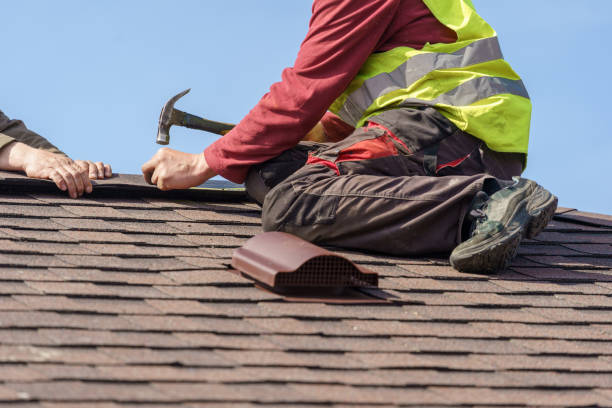 Best Roof Restoration Services  in Horse Pasture, VA