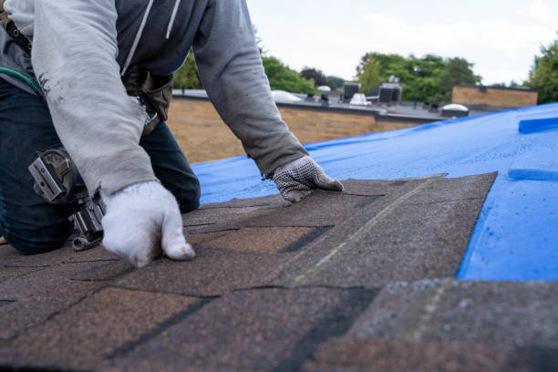 Best Flat Roof Repair Services  in Horse Pasture, VA